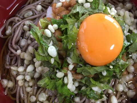 納豆おろし冷やし蕎麦